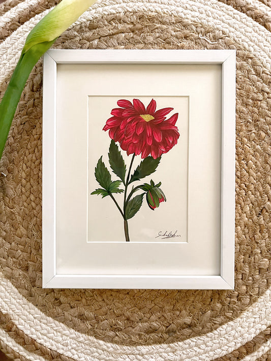 Dahlia