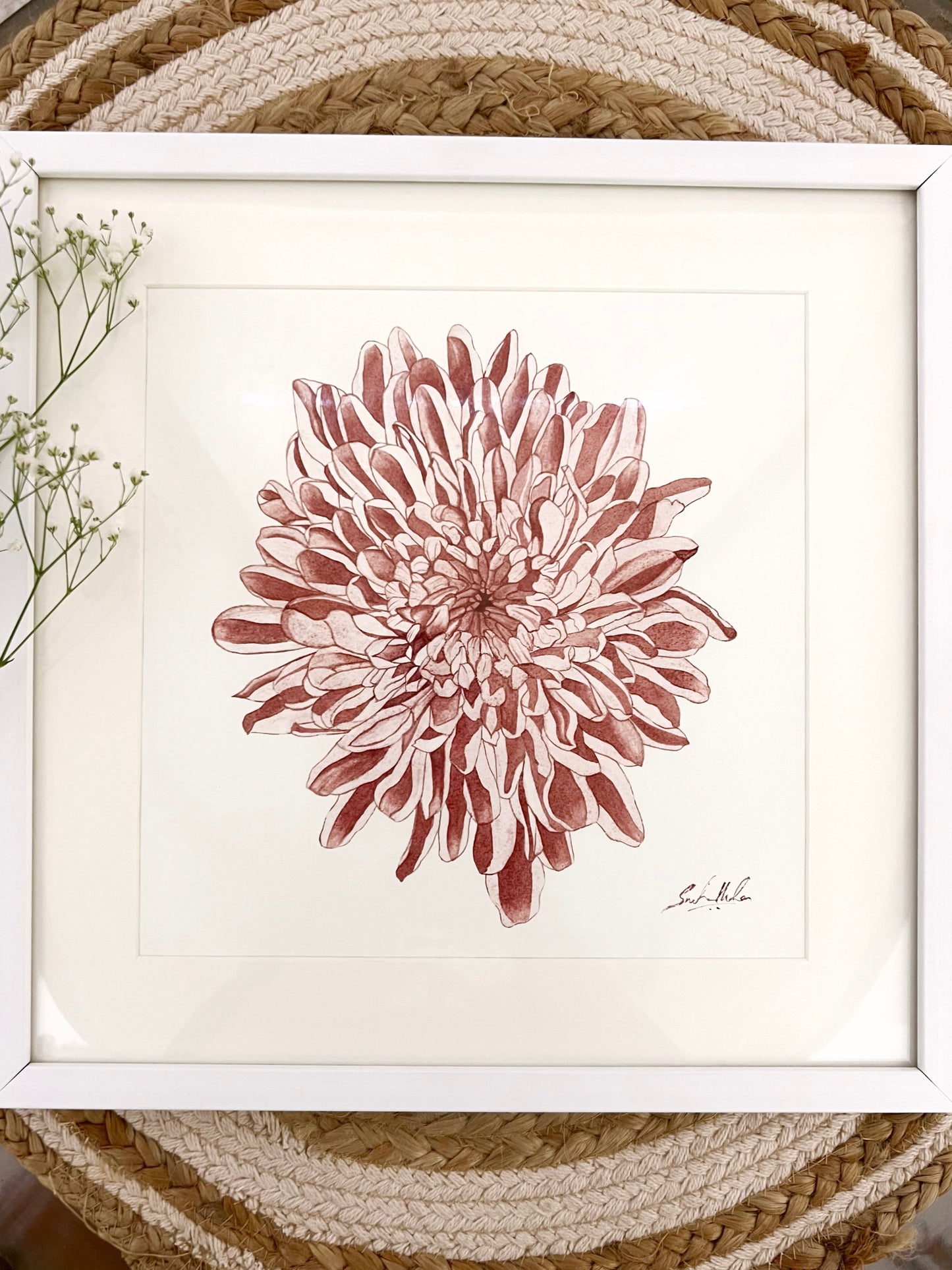 Chrysanthemum