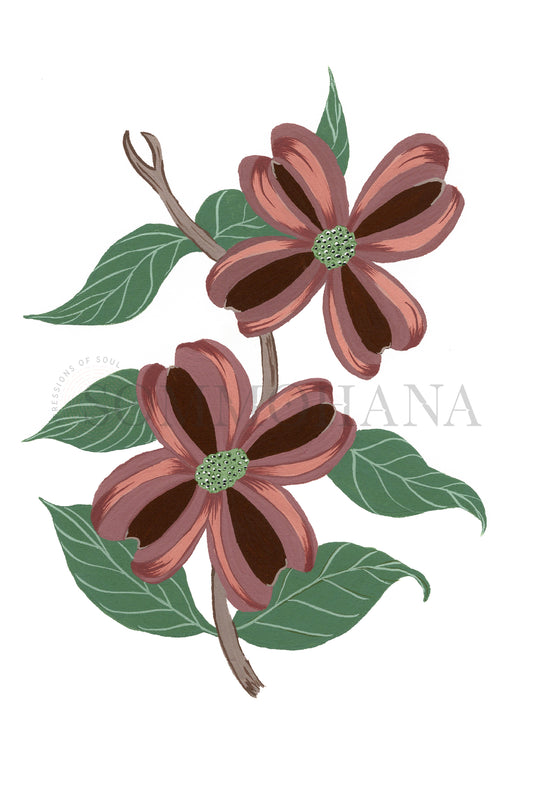 Art Print | Dogwood Flower