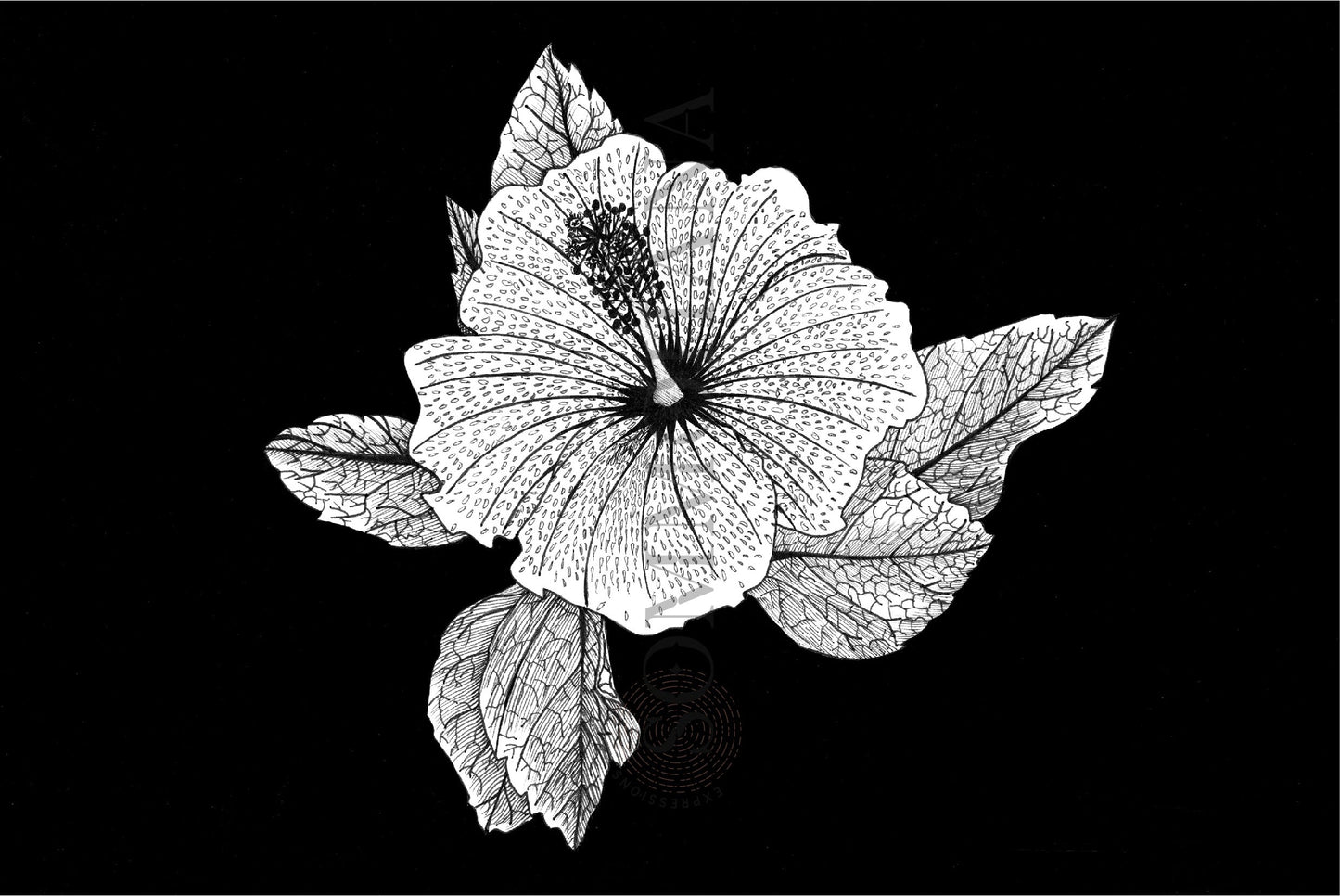 Art Print | Hibiscus3