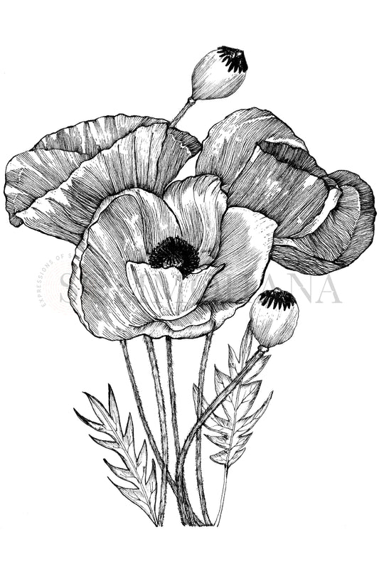 Art Print | Poppy